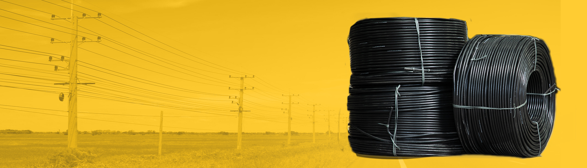 <p>Engineered For Secure and Efficient Power Connectivity</p>